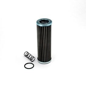 Filtro P171834
