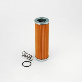 Filtro P171837