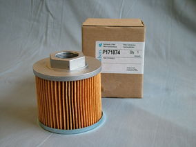 Filtro P171874