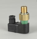 Filtro P171947
