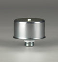 Filtro P172387