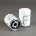 Filtro P173115