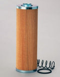 Filtro P173138