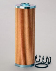 Filtro P173138