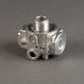 Filtro P173386