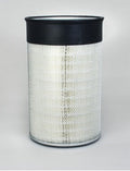 Filtro P181047