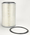 Filtro P181058