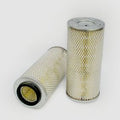 Filtro P181089