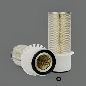 Filtro P182059