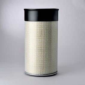 Filtro P182078