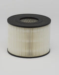 Filtro P500017