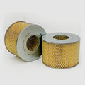 Filtro P500020