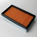 Filtro P500063