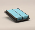 Filtro P500138
