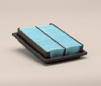 Filtro P500138