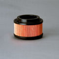 Filtro P500196