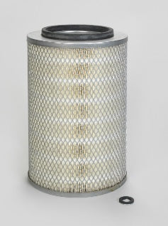 Filtro P500955