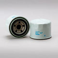 Filtro P502009