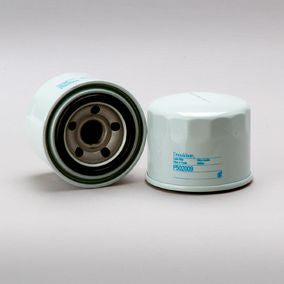 Filtro P502009