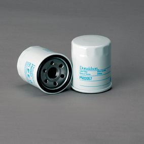 Filtro P502057