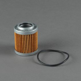Filtro P502253