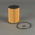 Filtro P502391