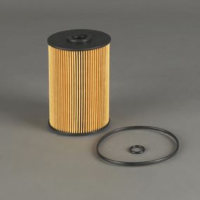 Filtro P502391