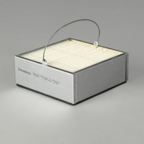 Filtro P502481