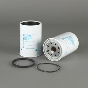 Filtro P502517