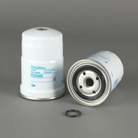 Filtro P505960