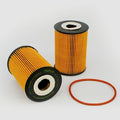 Filtro P505978
