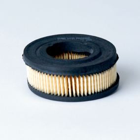 Filtro P524388