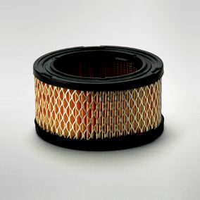 Filtro P528206