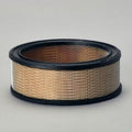Filtro P530639