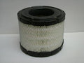 Filtro P533109