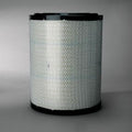 Filtro P533882
