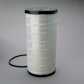 Filtro P534816