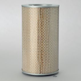 Filtro P546567