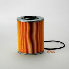 Filtro P550021