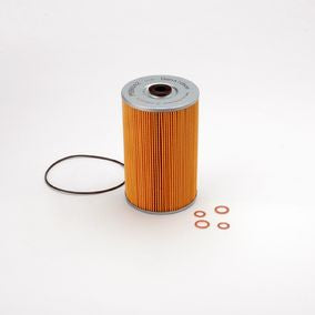 Filtro P550042