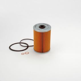 Filtro P550055