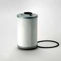 Filtro P550061