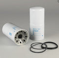 Filtro P550250