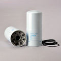 Filtro P550276