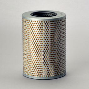 Filtro P550308