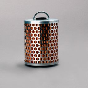 Filtro P550310