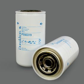 Filtro P550319