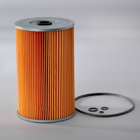 Filtro P550380