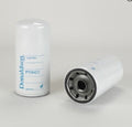 Filtro P550421