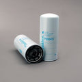 Filtro P550431